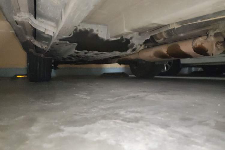 Used GAC Trumpchi GS8 2017 320T Four-Wheel Drive Luxury Smart Connectivity Version (7 Seats)
