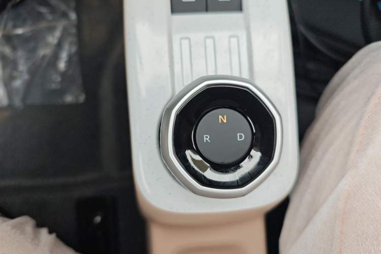 Used  Panda 2024 Panda Mini 200km Endurance Bear
