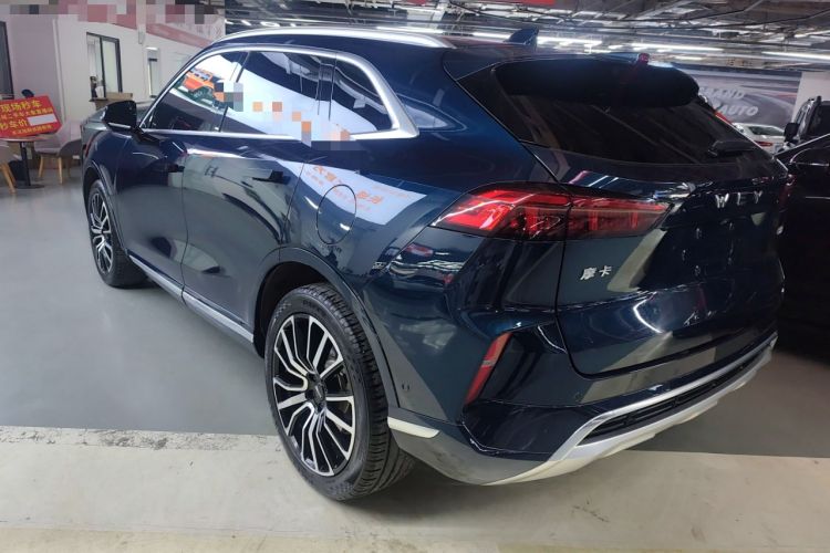 Used Wey Mocha 2021 2.0T Four-Wheel Drive Premium Edition
