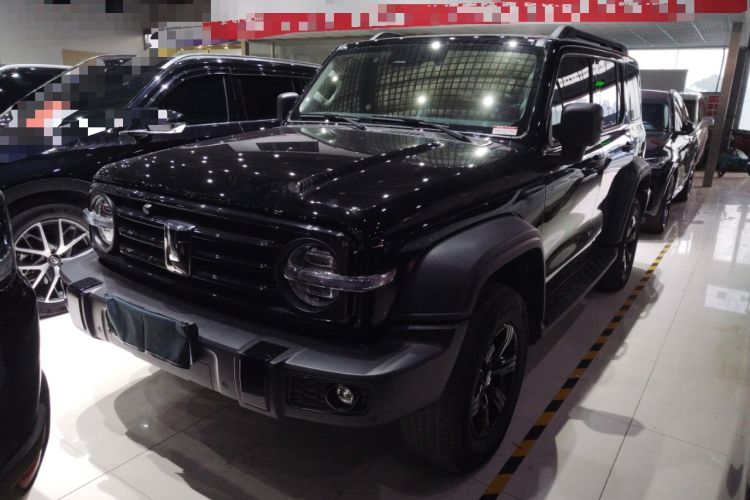 Used Tank 300 2024 2.0T Conqueror