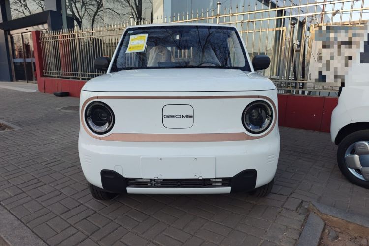 Used  Panda 2024 Panda Mini 200km Endurance Bear