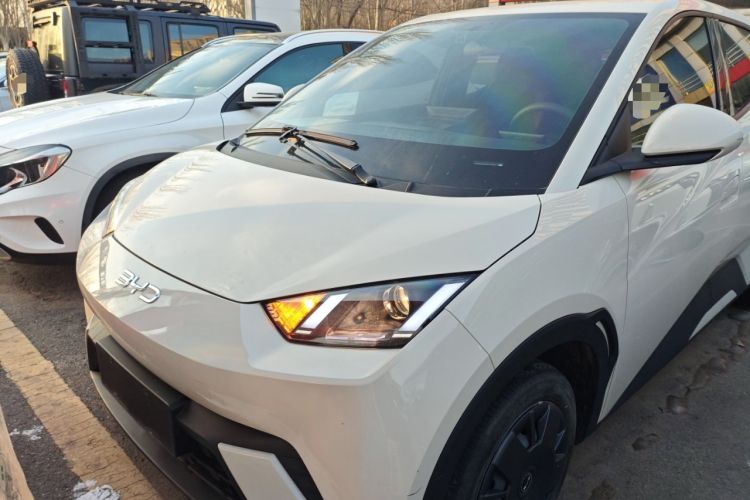 Used BYD Seagull 2024 Honor Edition 305km Dynamic Version