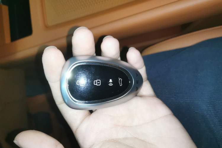 Used Wey Lanshan 2025 Four-Wheel Drive Ultra