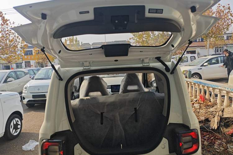 Used  Panda 2024 Panda Mini 200km Endurance Bear
