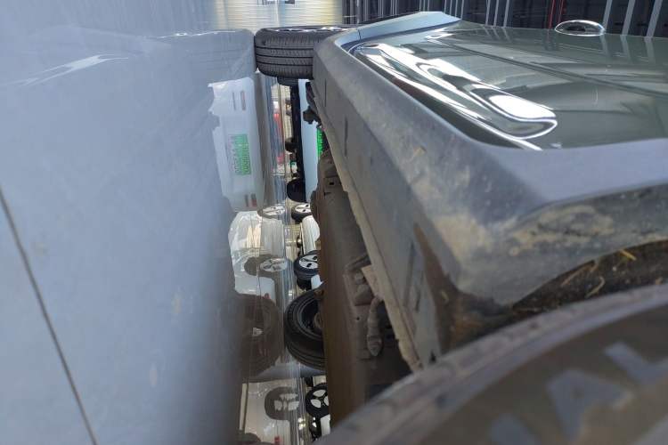 Used  Panda 2025 210km Panda Rider
