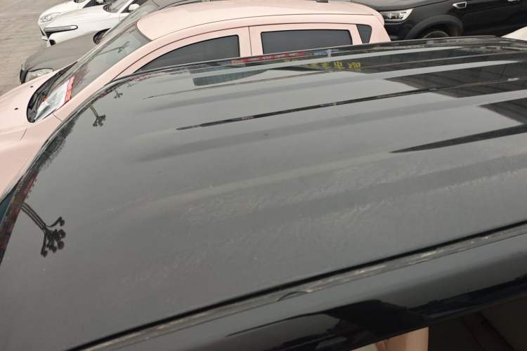 Used  Panda 2023 Panda Mini 200km Endurance Bear
