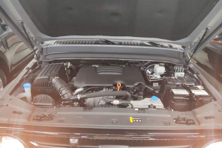 Used Tank 300 2021 Off-Road Edition 2.0T Conqueror