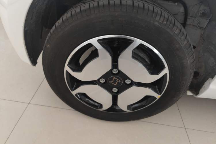 Used SOL E10X 2022 Flower Fairy Design Four-Leaf Clover