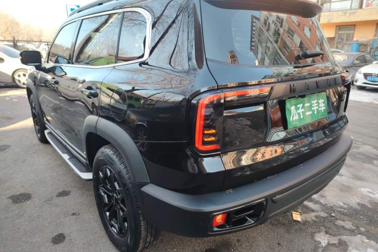 Used Haval DARGO 2021 2.0T DCT 4x4 Chinese Rural Dog Edition
