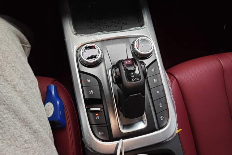 Used Tank 300 2024 2.0T Crosser
