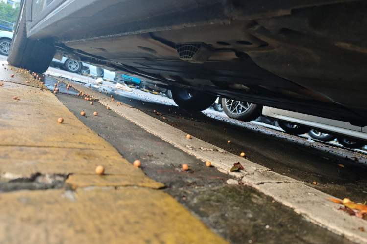 Used Lynk & Co 02 2019 1.5T DCT Two-Wheel Drive Pro Edition China VI Standard
