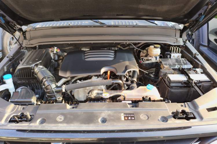 Used Tank 300 2023 Off-Road Edition 2.0T Challenger
