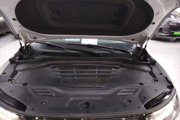 Used Leapmotor C11 2023 Pure Electric 500 Comfort Edition
