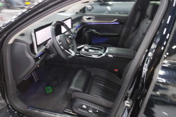 Used Hongqi H9 2024 2.0T Qichang Private Enjoyment Luxury Edition
