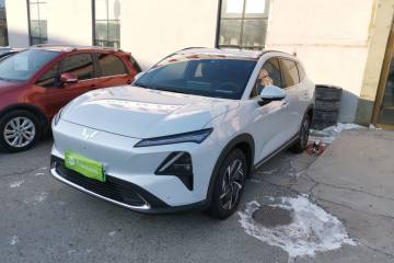 Used Wuling Xingguang S 2024 130 km Flagship Version