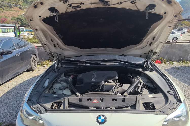 Used BMW 5 Series 2017 525Li Luxury Design Package