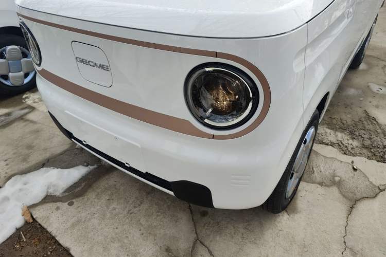 Used  Panda 2024 Panda Mini 200km Endurance Bear
