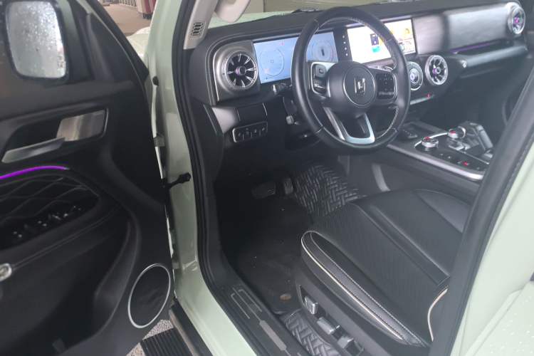 Used Tank 300 2024 2.0T Crosser
