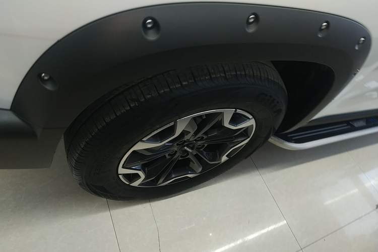 Used Haval DARGO 2024 2.0T DCT Chinese Rural Dog Edition
