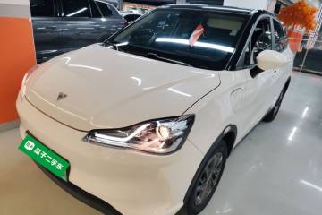 Used NETA V 2021 Standard Range Industry Custom Edition