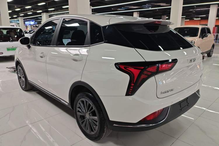 Used NETA V 2022 Chao 300 Lite Lithium Iron Phosphate