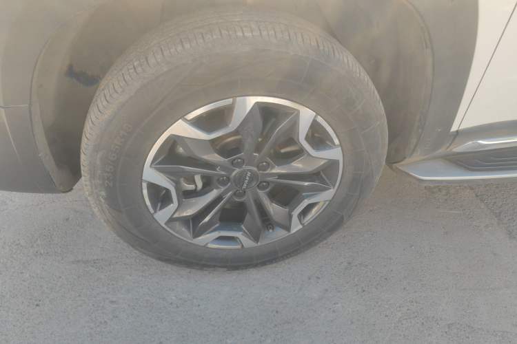 Used Haval DARGO 2021 2.0T DCT 4x4 Chinese Rural Dog Edition
