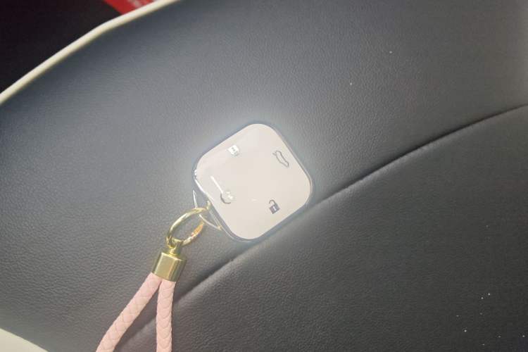 Used  Lumin 2025 205 km Xiangqin Version