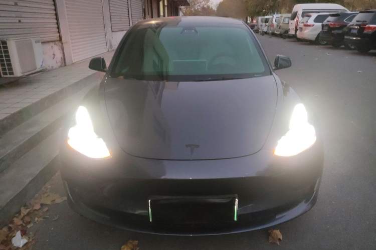 Used Tesla Model 3 2021 Standard Range Rear-Wheel Drive Upgraded Version 3D6