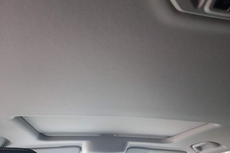 Used Tank 300 2024 2.0T Conqueror