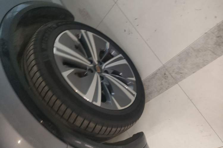 Used Hongqi E-HS9 2021 510 km Range Flagway Edition Six Seats
