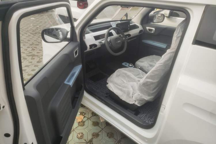 Used  Panda 2024 Panda Mini 200km Endurance Bear
