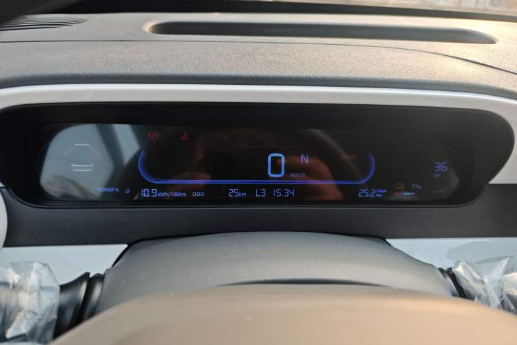 Used  Panda 2025 210 km – Yuanqi Bear
