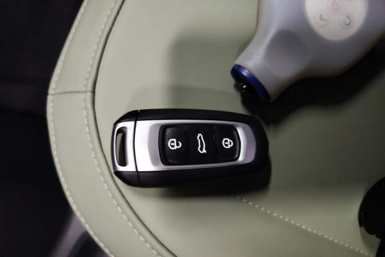 Used  Panda 2024 200km Panda Rider