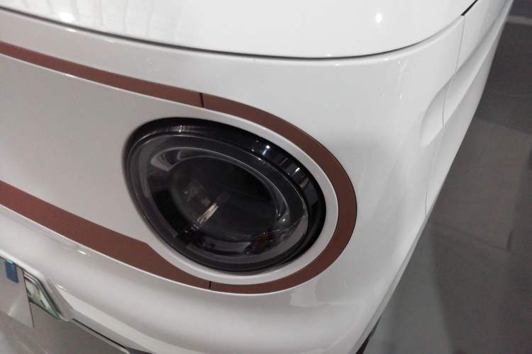 Used  Panda 2024 Panda Mini 200km Endurance Bear
