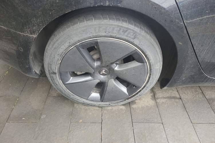 Used Tesla Model 3 2021 Standard Range Rear-Wheel Drive Upgraded Version 3D6
