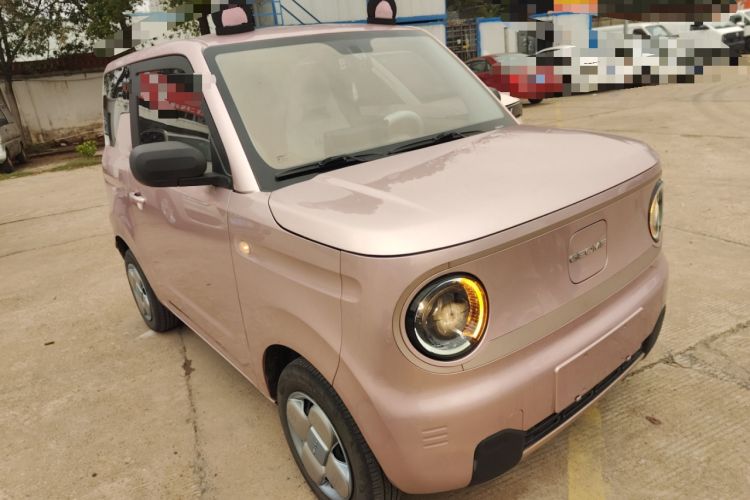 Used  Panda 2023 Panda Mini 200km Endurance Bear
