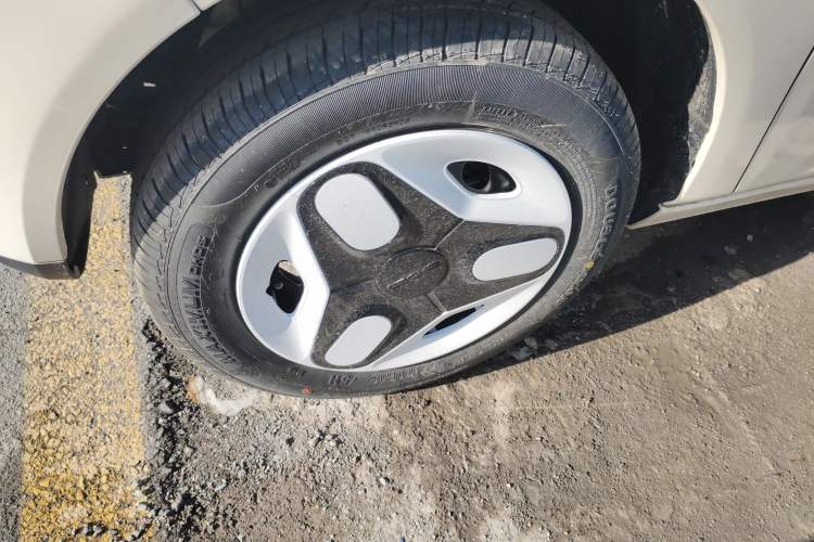 Used  Panda 2025 210 km – Yuanqi Bear
