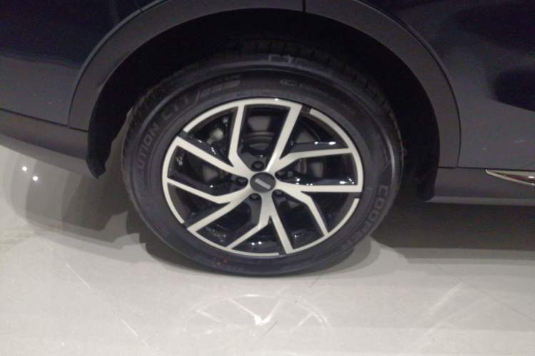 Used Wey Mocha New Energy 2024 Hi4 Four-Wheel Drive Long-Range Version