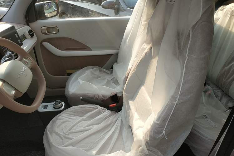 Used  Panda 2025 210 km – Yuanqi Bear
