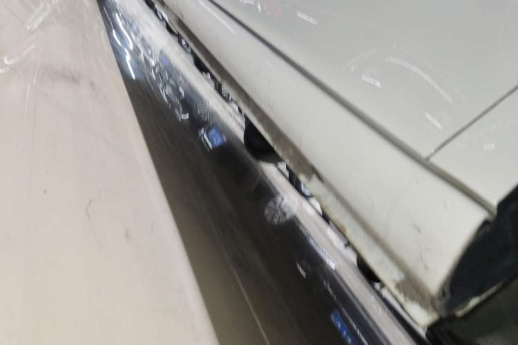 Used ORA White Cat 2020 360 km Luxury Version
