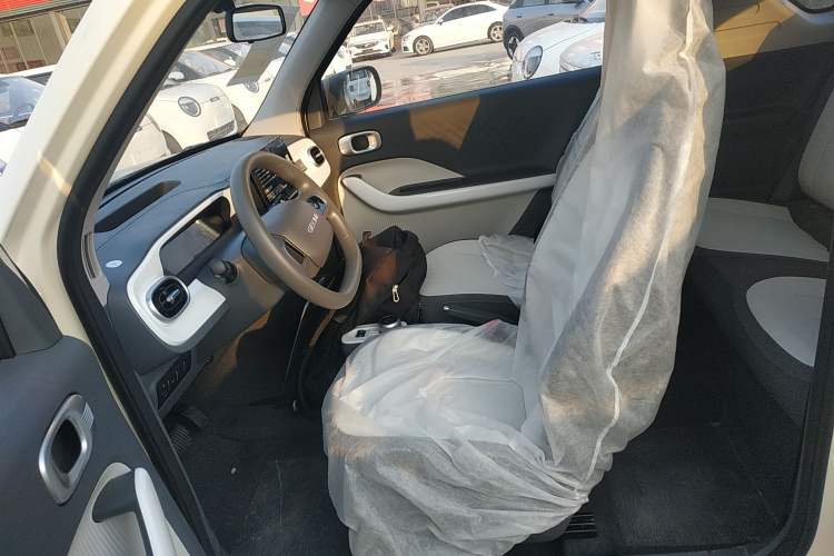 Used  Panda 2025 210 km – Yuanqi Bear
