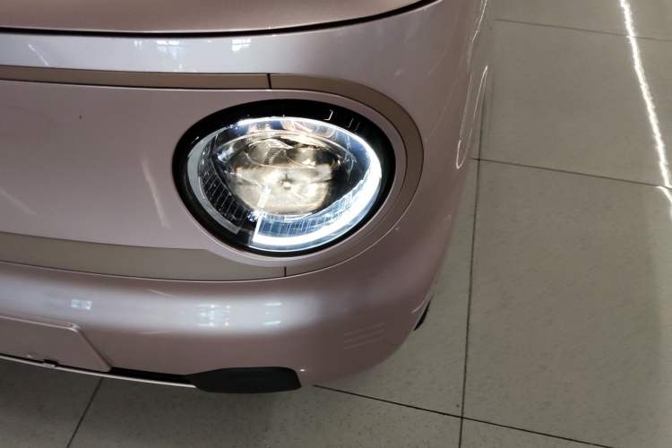 Used  Panda 2024 Panda Mini 200km Endurance Bear
