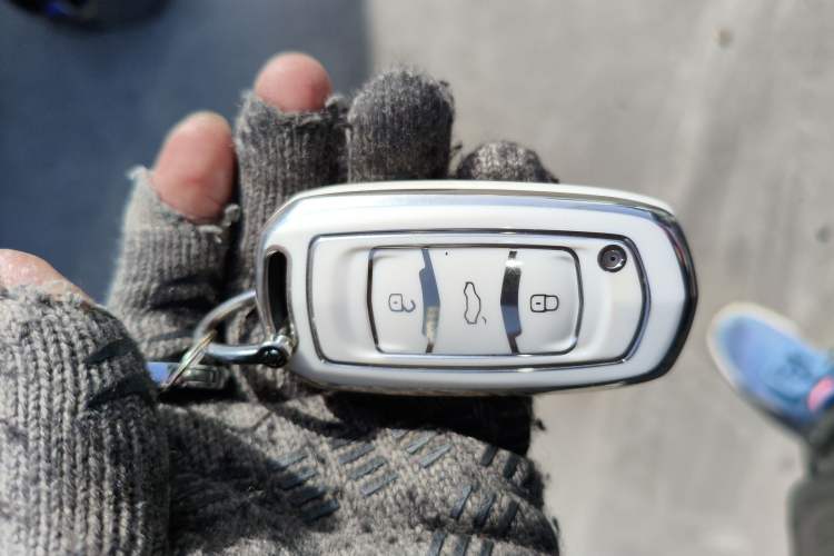 Used  Panda 2024 Panda Mini 200km Endurance Bear
