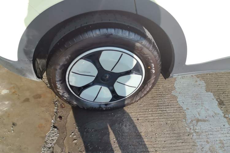 Used  Geome 2025 310km Youth Edition
