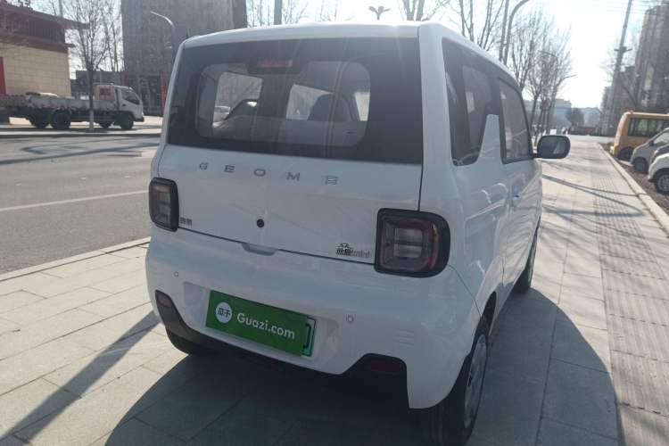 Used  Panda 2024 Panda Mini 200km Endurance Bear