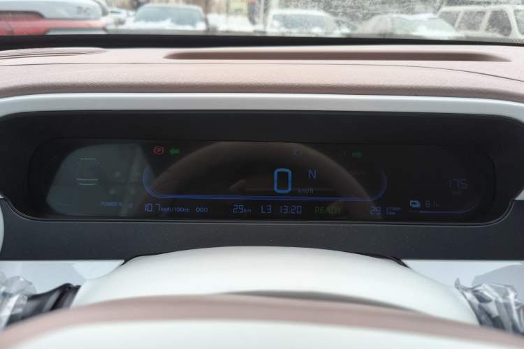 Used  Panda 2025 210 km – Yuanqi Bear
