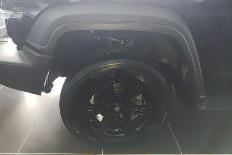 Used Tank 300 2024 2.0T Conqueror
