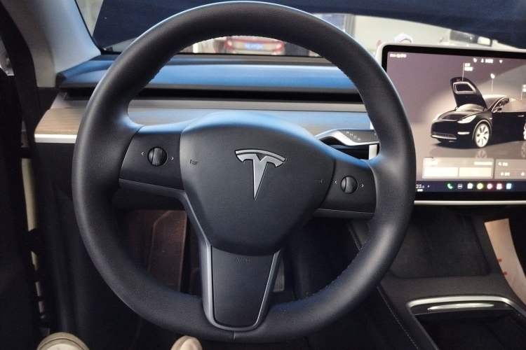 Used Tesla Model Y 2022 Revised Version Long-Range All-Wheel Drive