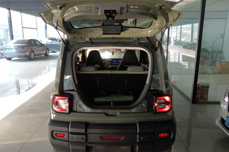 Used  Panda 2024 200km Panda Rider