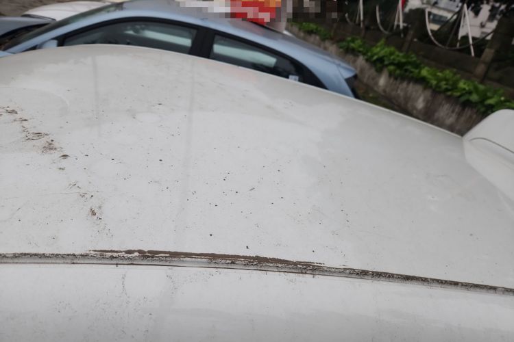 Used  Geome 2025 310km Youth Edition
